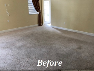 Before photo of Carpet in Orlando, FL