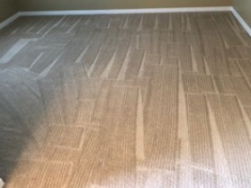 Carpet Cleaning in Orlando, FL